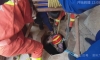 事发莱芜！一女子掉入自家姜井