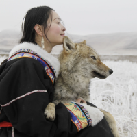 《重返狼群》10年后再度爆火