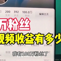 百万粉丝一天收入大概多少
