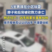5岁男孩在小区玩耍，脖子和后背被砍数刀身亡，附近住户：凶手和家长曾有纠纷，孩子母亲否认认识凶手