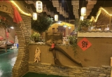 【老街坊劈柴院（吕花园工业园）】炖大红玉公鸡4-5人餐138元