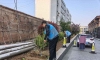 铲除违规菜园 守住公共绿地