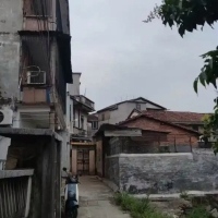 “梅姨”藏身地居民：她总独来独往