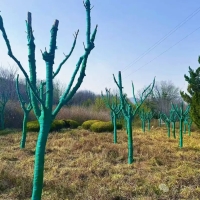 莱芜区园林绿化和林业发展中心全面启动冬季园林植物专项养护工作