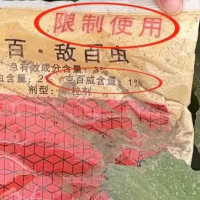 央视揭露菜商使用含毒农药 村民发声