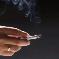 吸烟 取消学费减免