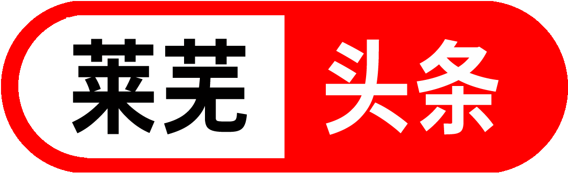 莱芜网
