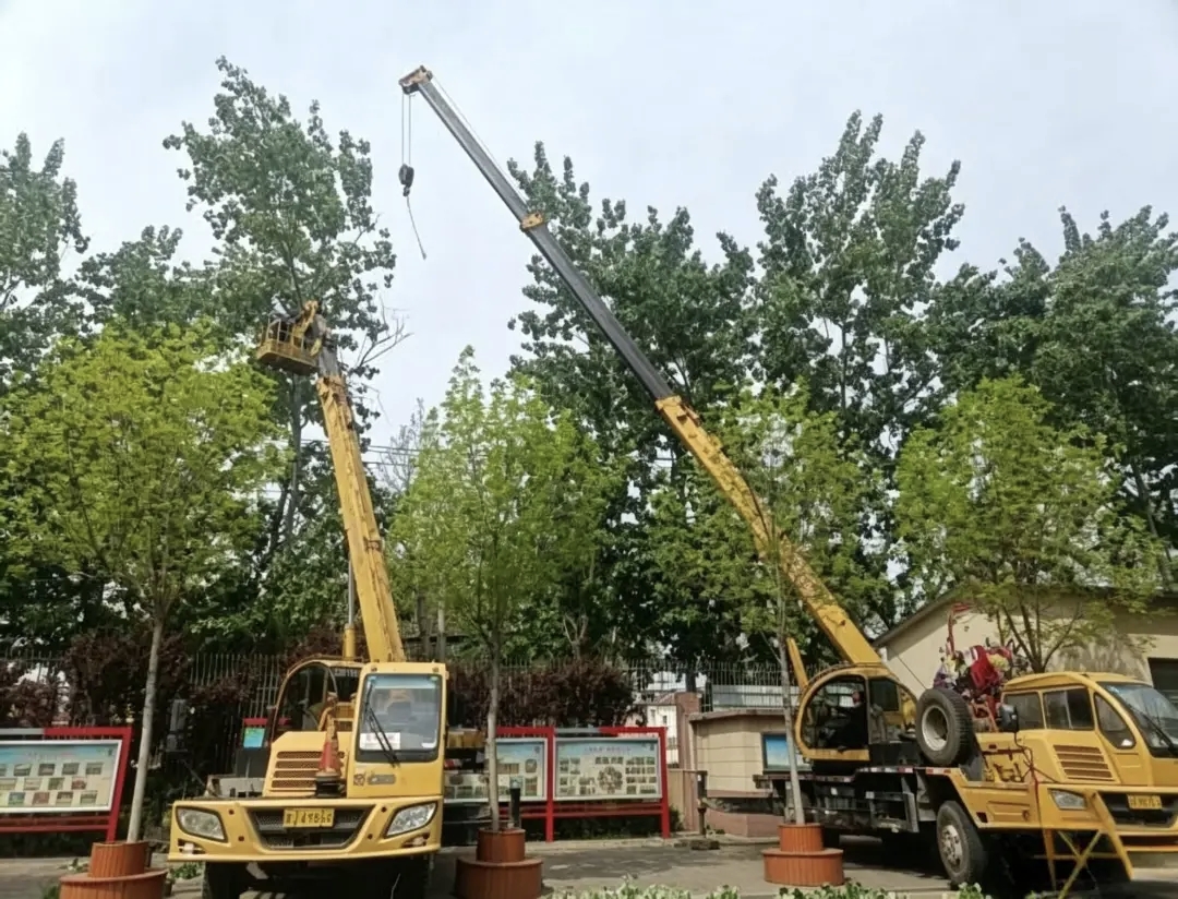 mmexport1777422570246.jpg